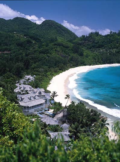 Banyan Tree Aerial View